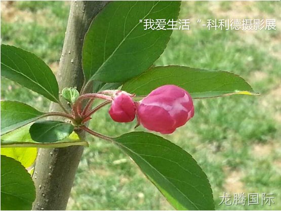 徐州龙腾国际化工科技开发有限公司
