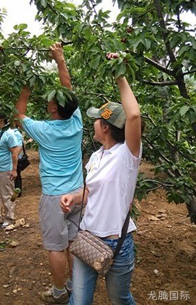 徐州龙腾国际化工科技开发有限公司